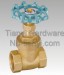 Horizontal Manual DZR Light Blue Color Handle Bi-directional Gate Valve