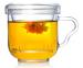 Clear Borosilicate Glass Tea Cup