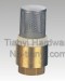 Brass Spring Check Valve with SS Mesh