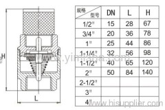 Brass Spring Check Valve with Stainless Steel Mesh