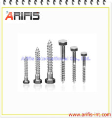 Hex head bolt
