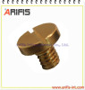 Brass Screw