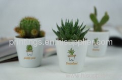 Heat transfer film for flower pot