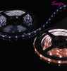 SMD5050 30leds/M Flexible LED Strip Light