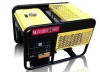 Portable Gasoline Generator (NPQ14)