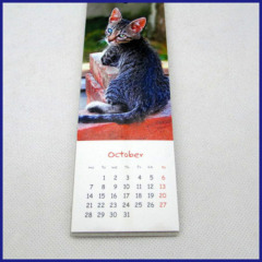 cats magnetic calendar 2014