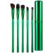 Professional Eye Brush set