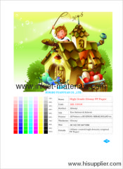 High Grade Glossy PP Synthetic Paper Inkjet Media