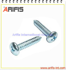 SS Screws