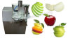 Fruit Processing Machinery/Fruit Slicing Machine