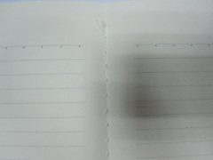 A4 2 subject softcover notebook college ruled