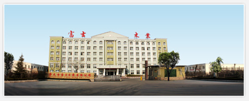 China Shouguang Fushi Wood Co.,Ltd