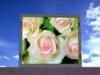 High Resolution P4 3 In 1 Indoor SMD LED Display Advertising For TV Shows