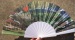 lace plastic fold fan