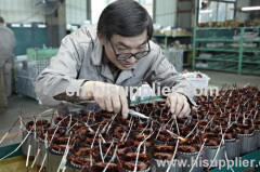 19 Rated Head 1.1Kw 10m3/h Agricultural Stainless Submersible