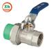 PPR Female Ball Valve with Union