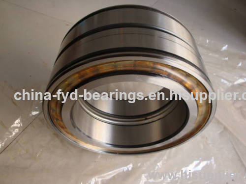SL full filled cylindrical roller bearings fyd bearings