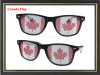 Canada flag LOGO lens sunglasses sticker sunglasses custom logo sunglasses pass CE FDA