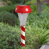 LED christmas solar light