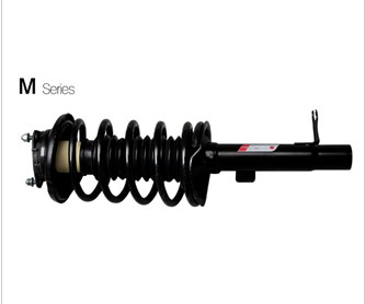 series suspension struts assembly