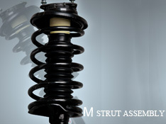 Strut Assembly of car