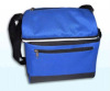 disposable beach cooler bag