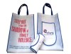 Non woven portable folding shopping trolley bags with pouch