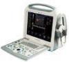 Medical Diagnostic Ultrasound System