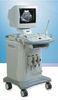 Digital Mobile Ultrasonic Diagnostic Equipment / Machine