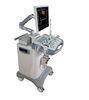 Mobile Color Doppler Ultrasonic Diagnostic System With CE