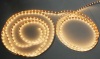 2700K 60/120LEDs/M Warm White LED Strip lights