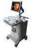 Veterinary Ultrasound Machine , Ultrasound Diagnostic System