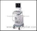 Diagnostic Ultrasound System Medical Equipment For Veterinary