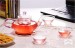 Highly Transparent Heat Resistant Glass Teapots Coffee Pots