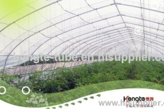 Fabricated metal plastic tube greenhouse
