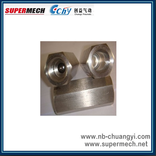 D Type Straight Check Valve