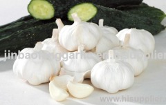 fresh garlic and white garlic