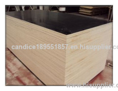 12mm waterproof film faced shuttering plywood manufacture