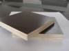 cincrete formwork film faced plywood 18mm