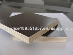 concrete film faced plywood