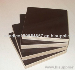 black film faced shuttering plywood 1220*2440*18mm