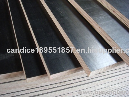 1220*2440*18mm construction film faced plywood poplar core