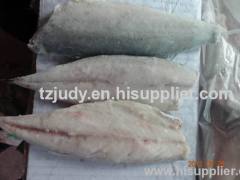 mackerel fillet (scomber japonicus)