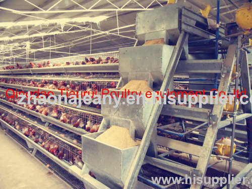 chicken layer cages , chicken layer coop . chicken layer farm equipment ,