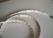 white pcb white 5050 SMD LED Strip lights