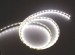 white pcb white 5050 SMD LED Strip lights