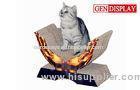 Fashionable Environmental Cat Cardboard Scratcher With Matt Lamination