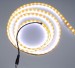 Cooper PCB5700-6500K 5050smd Waterproof LED Strip lights