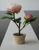 Beautiful Solar Peony Light