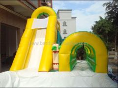 Inflatable Slip N Slide Combination